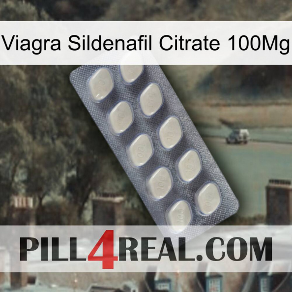 Viagra Sildenafil Citrate 100Mg 08.jpg